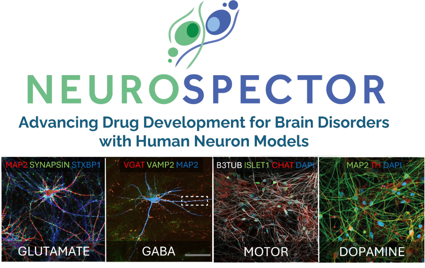 Neurological-disorders-Neurospector
