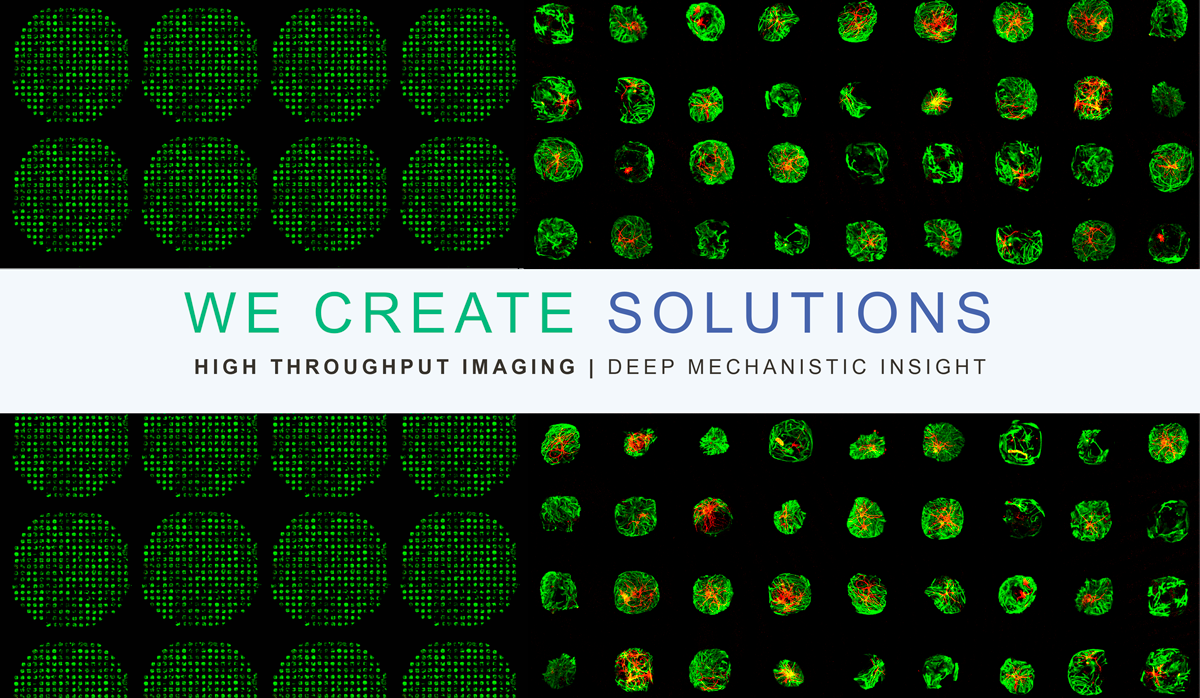 CRO-solutions-ineuron